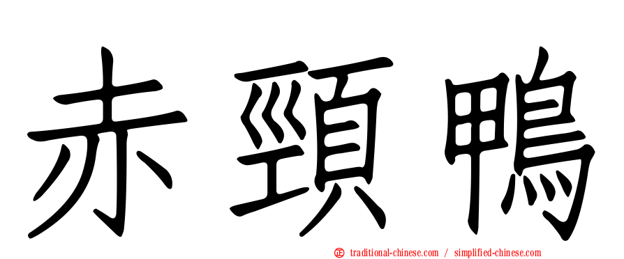 赤頸鴨
