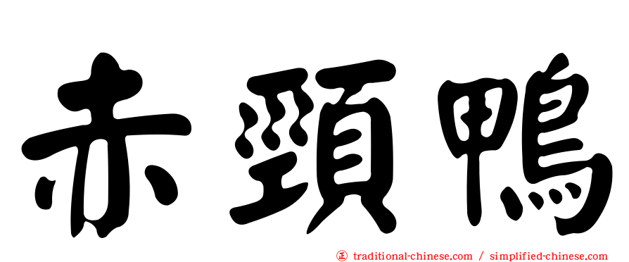 赤頸鴨