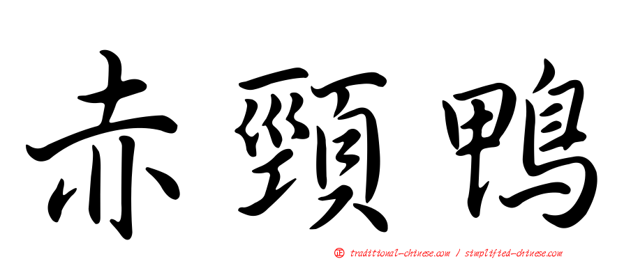 赤頸鴨
