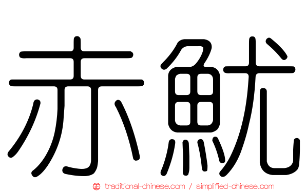 赤魷