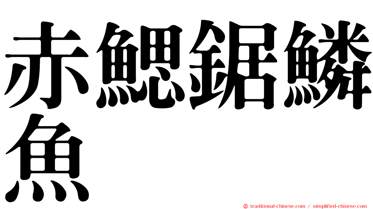 赤鰓鋸鱗魚