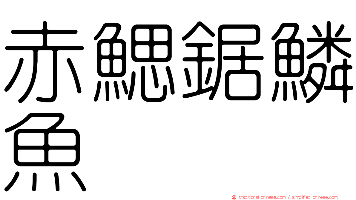 赤鰓鋸鱗魚