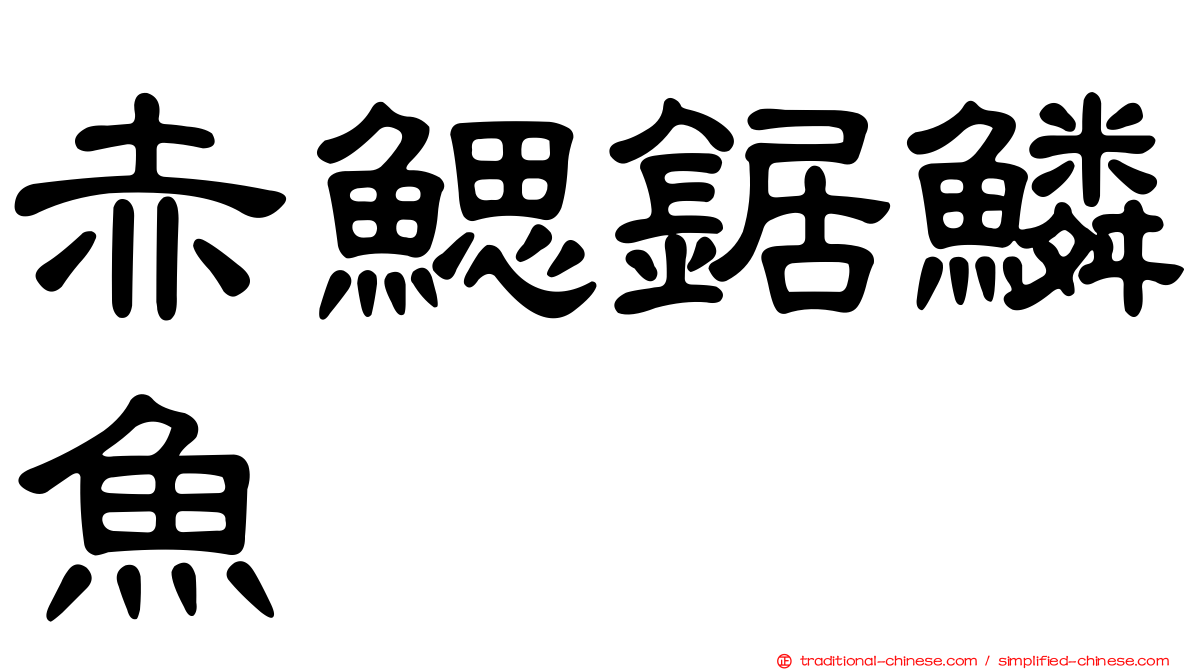 赤鰓鋸鱗魚