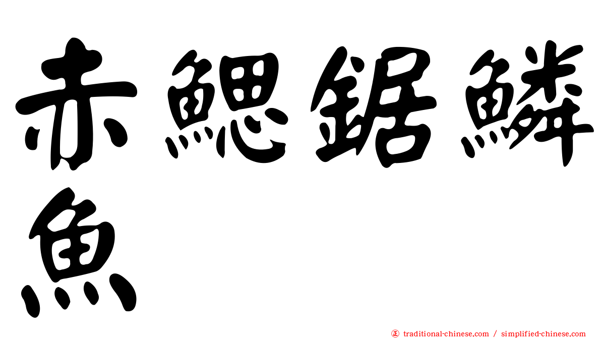 赤鰓鋸鱗魚