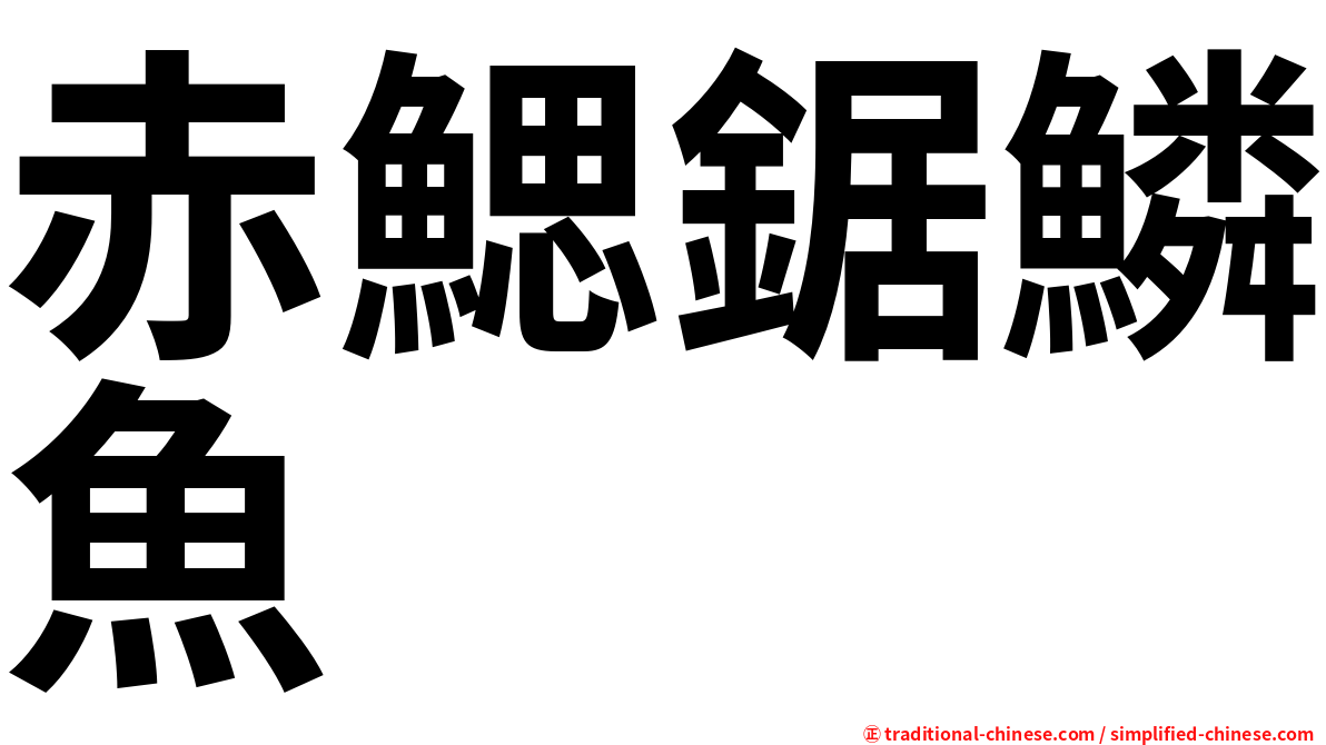 赤鰓鋸鱗魚
