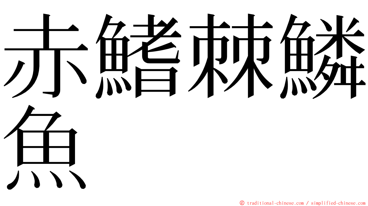 赤鰭棘鱗魚 ming font