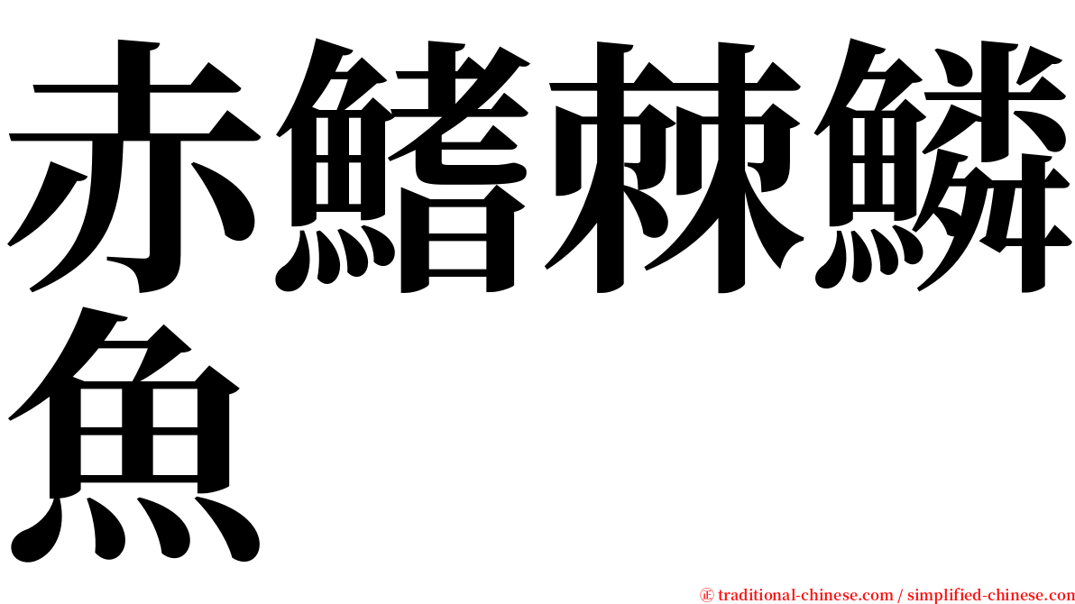 赤鰭棘鱗魚 serif font