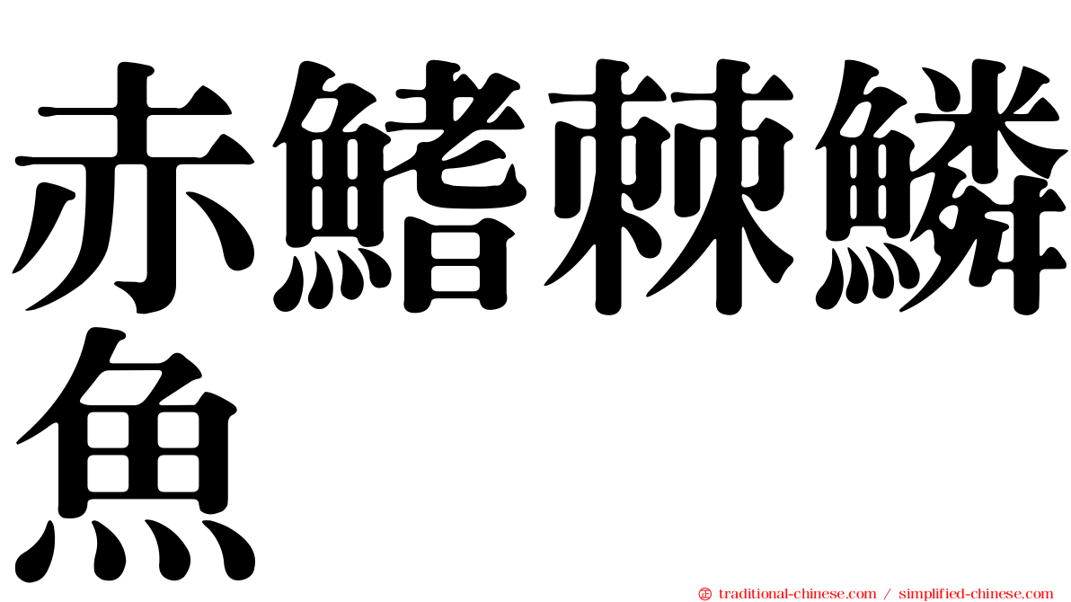 赤鰭棘鱗魚