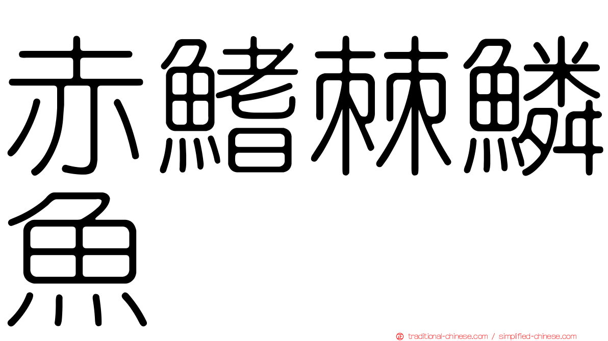 赤鰭棘鱗魚