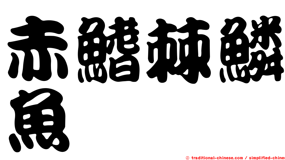 赤鰭棘鱗魚