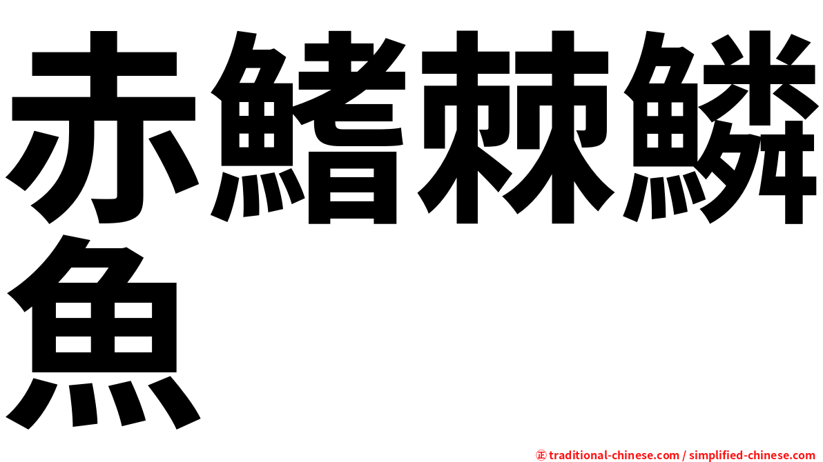赤鰭棘鱗魚