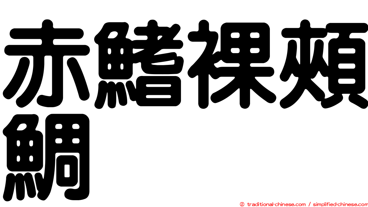 赤鰭裸頰鯛