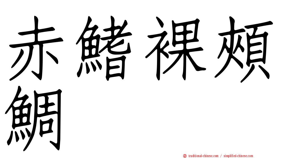 赤鰭裸頰鯛