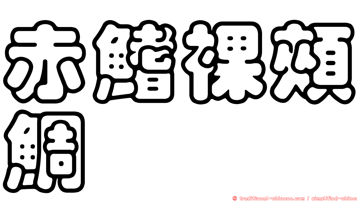 赤鰭裸頰鯛