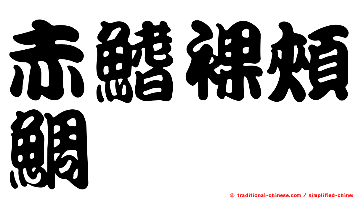 赤鰭裸頰鯛