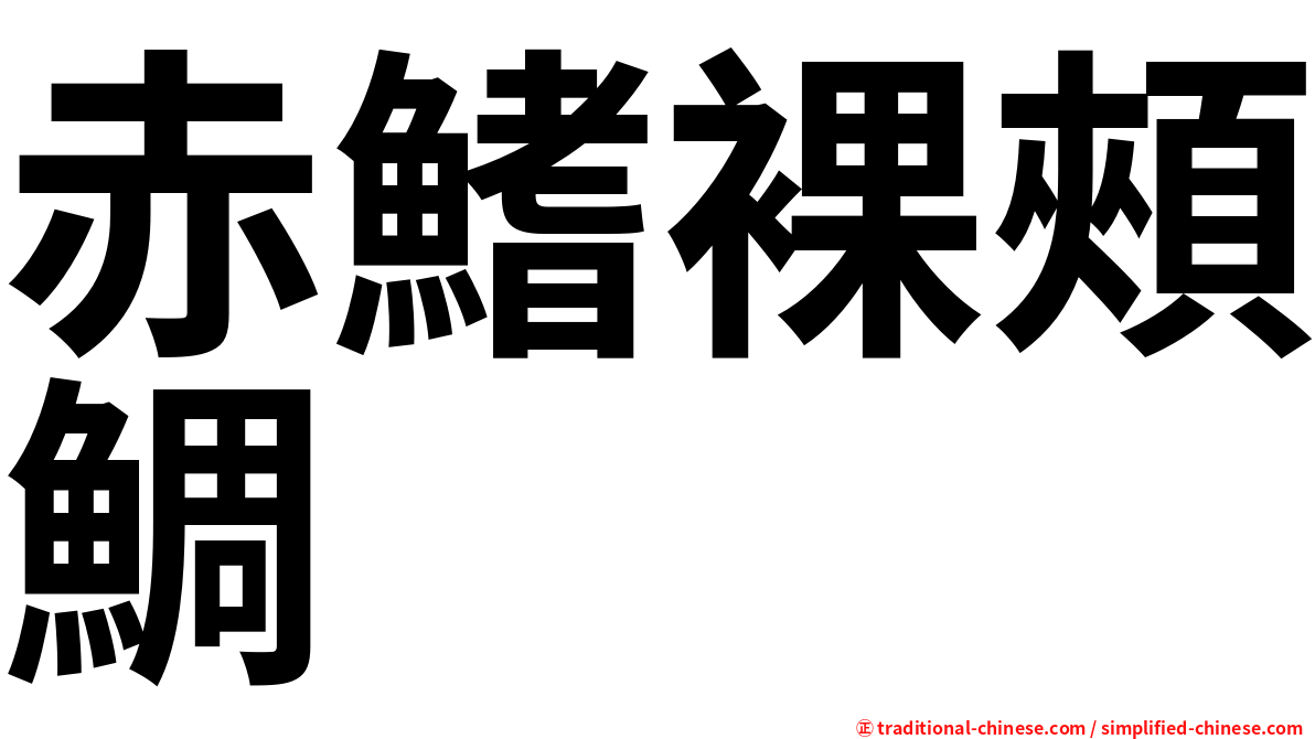 赤鰭裸頰鯛