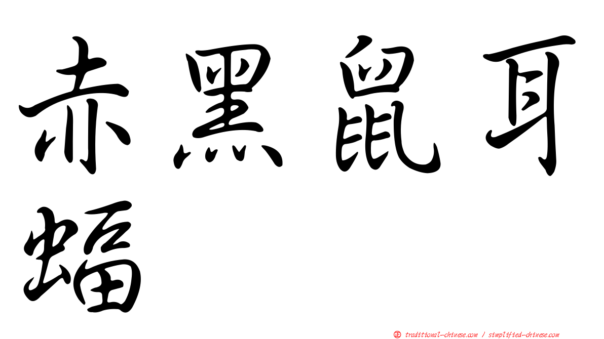 赤黑鼠耳蝠