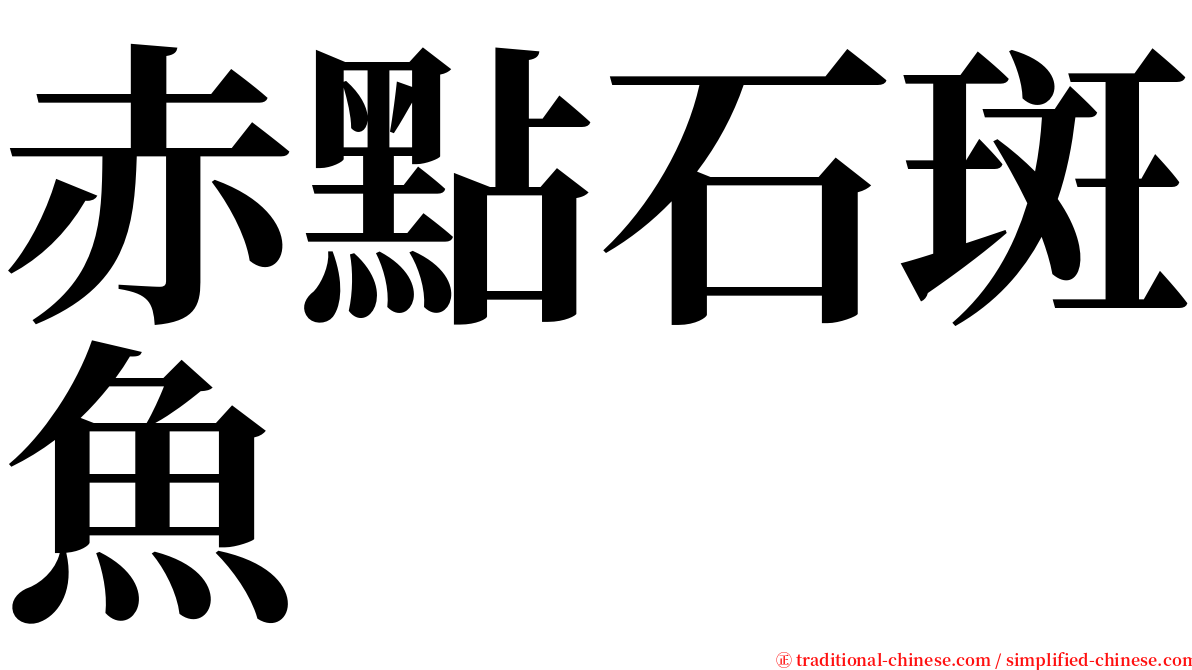 赤點石斑魚 serif font