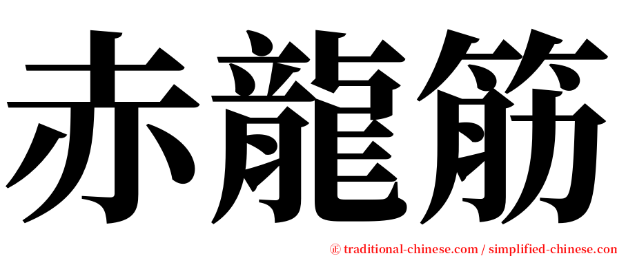 赤龍筋 serif font