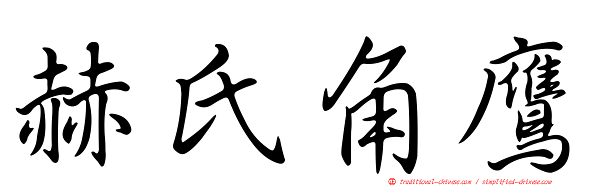赫氏角鷹