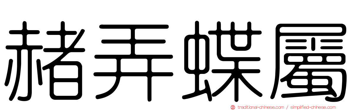 赭弄蝶屬