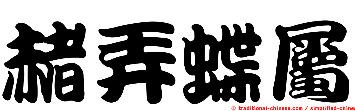 赭弄蝶屬