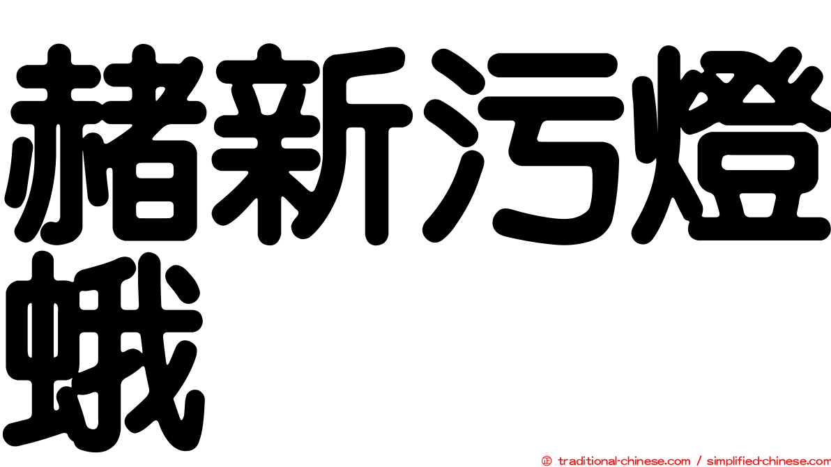 赭新污燈蛾