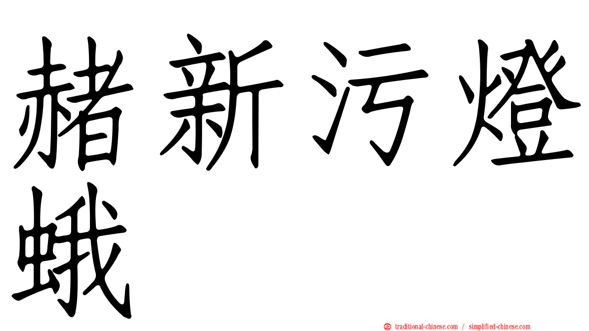 赭新污燈蛾
