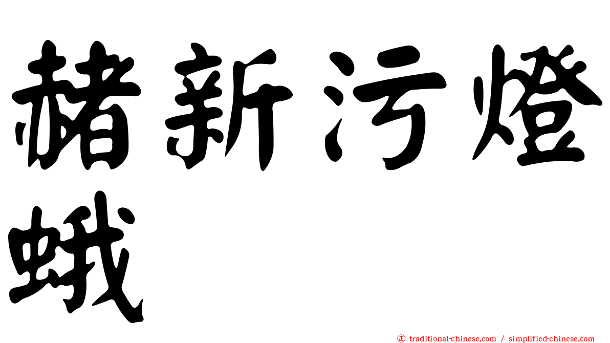 赭新污燈蛾