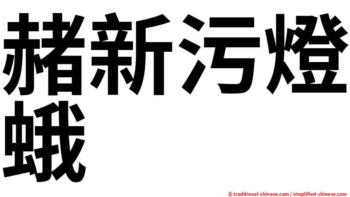 赭新污燈蛾