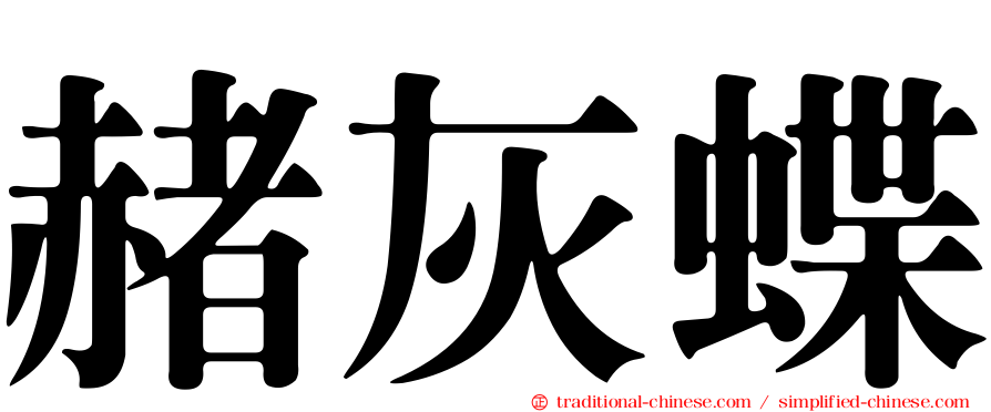 赭灰蝶