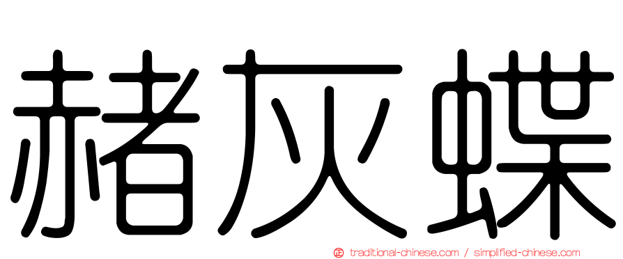 赭灰蝶