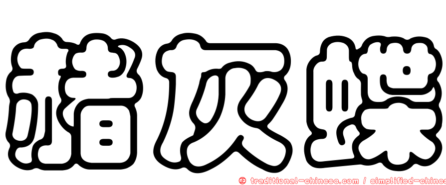 赭灰蝶
