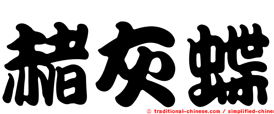 赭灰蝶