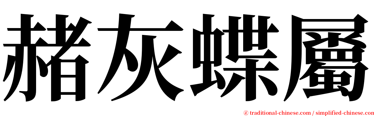 赭灰蝶屬 serif font