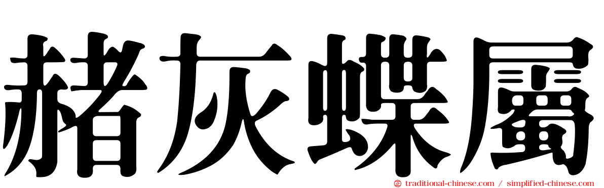 赭灰蝶屬