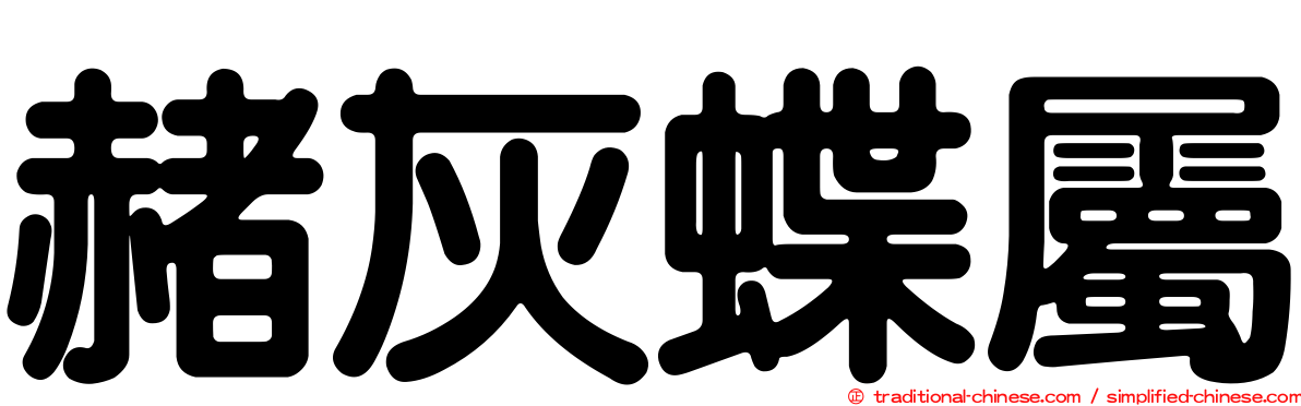 赭灰蝶屬
