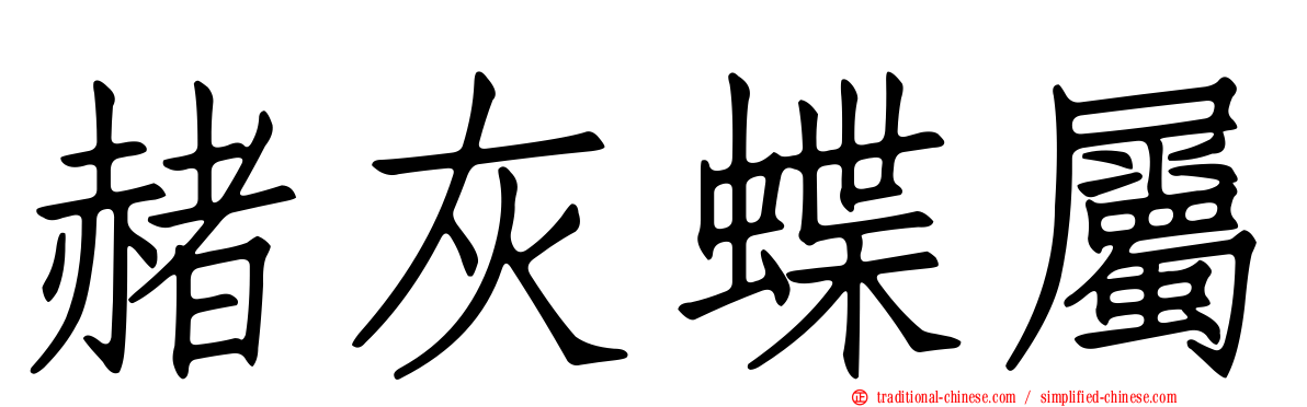 赭灰蝶屬