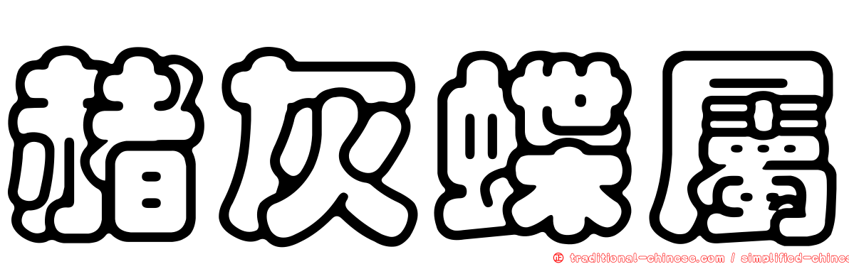 赭灰蝶屬