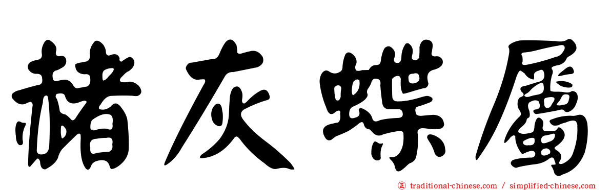 赭灰蝶屬