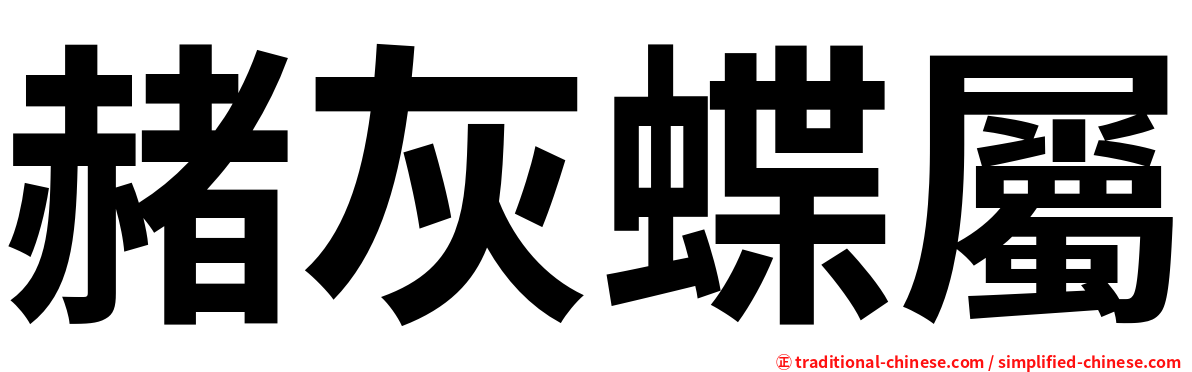 赭灰蝶屬