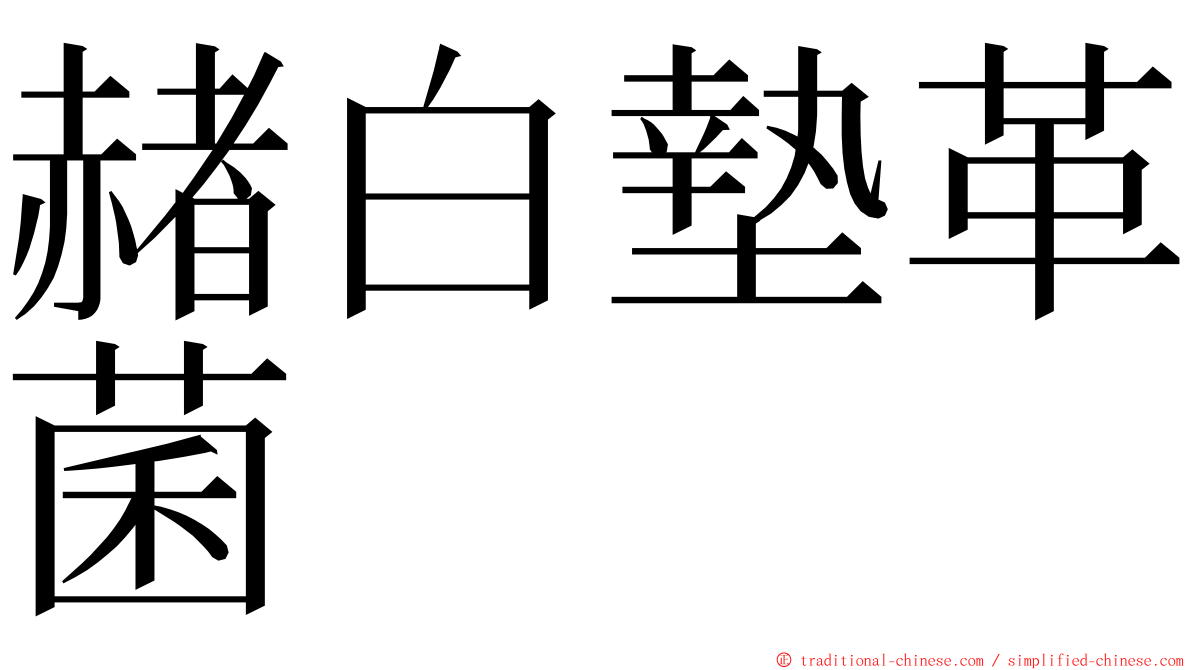 赭白墊革菌 ming font