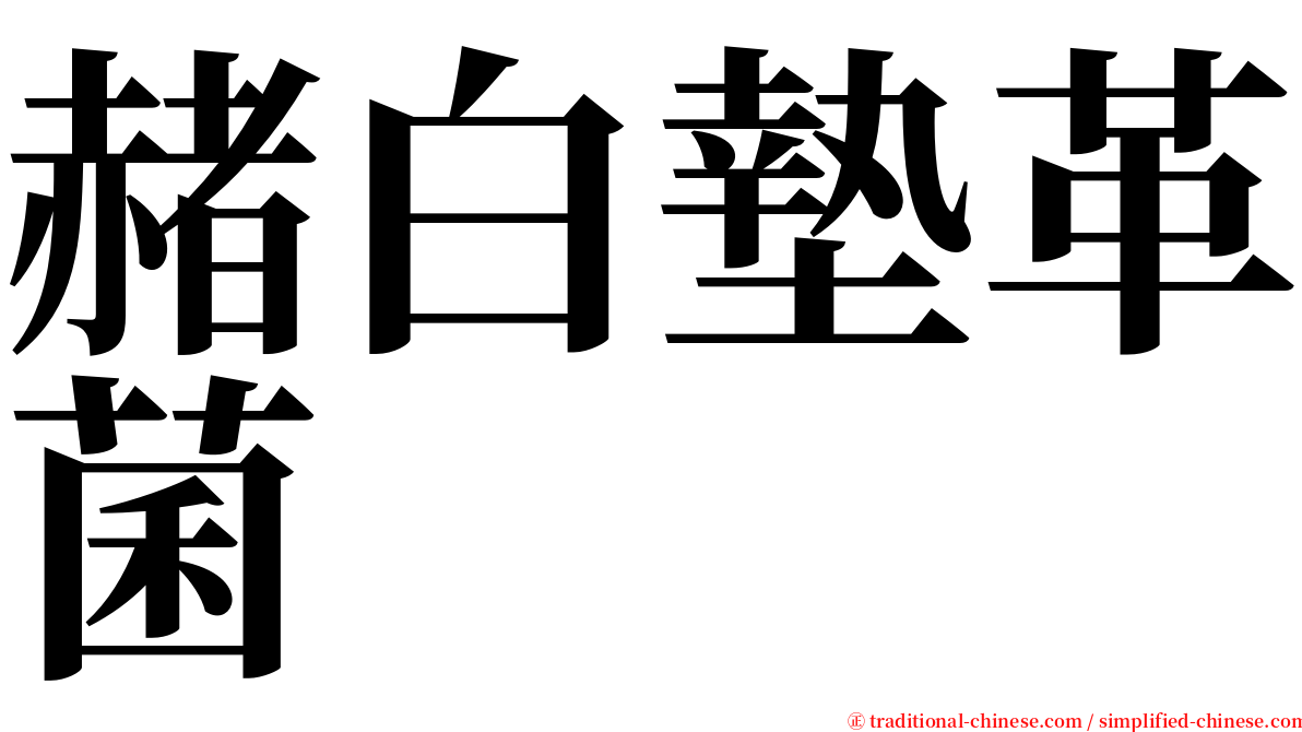 赭白墊革菌 serif font