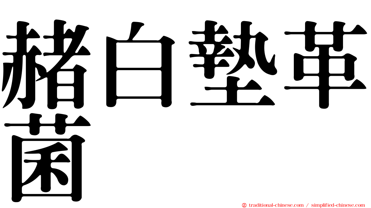 赭白墊革菌