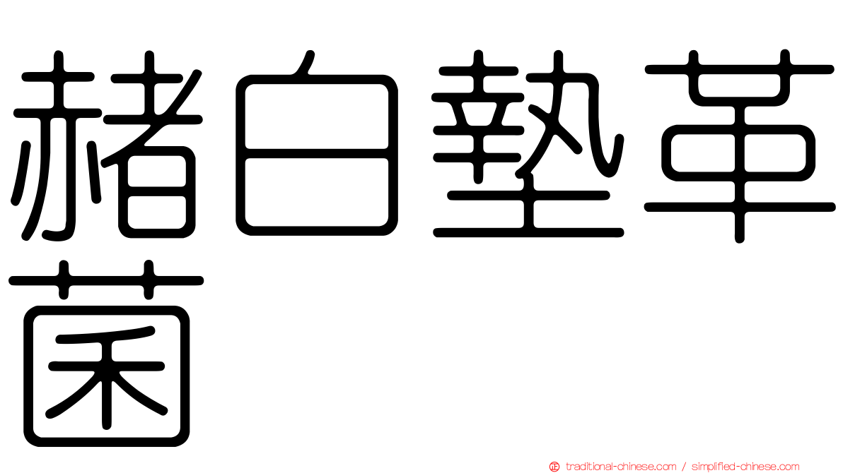 赭白墊革菌