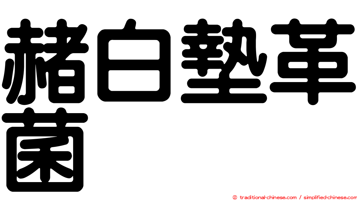 赭白墊革菌
