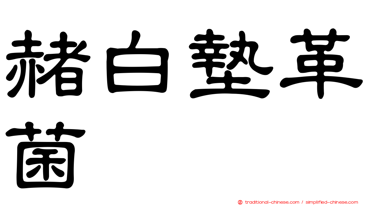 赭白墊革菌