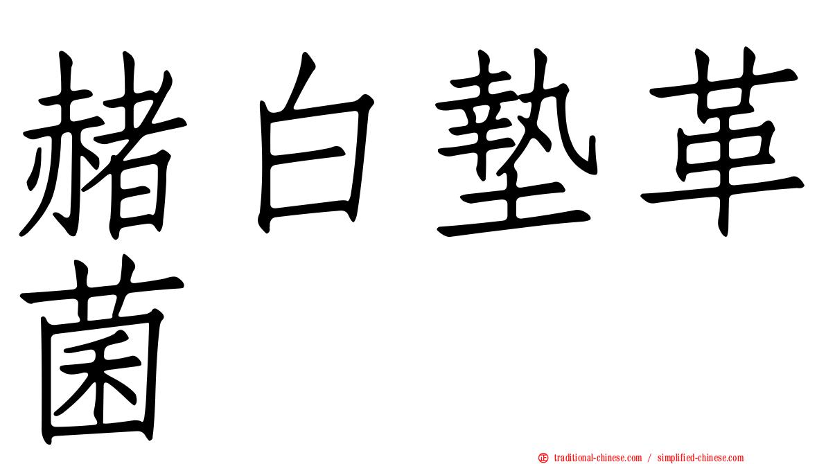 赭白墊革菌
