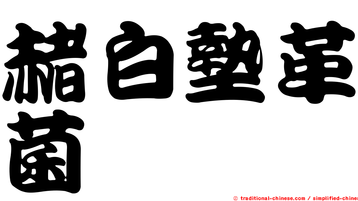 赭白墊革菌