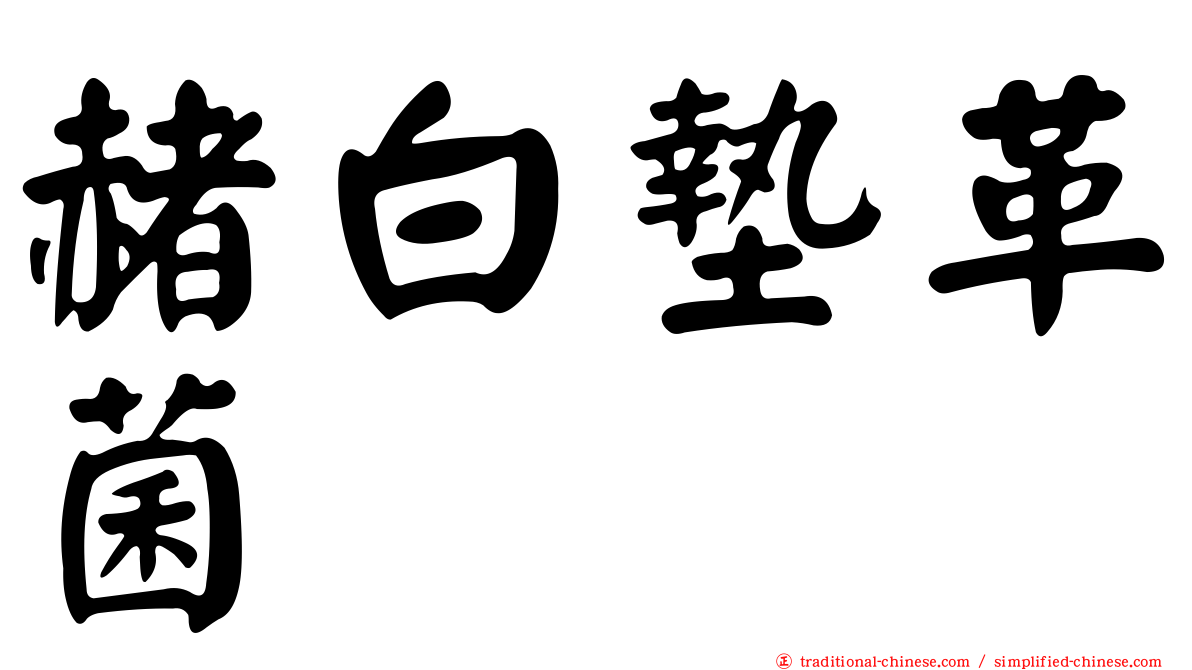 赭白墊革菌